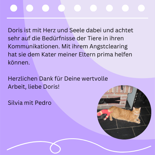 Glücklicher Hund Pedro nach einem Gespräch mit Tierkommunikatorin Doris Voss – Kundenstimme zur Tierkommunikation