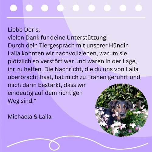 Tierkommunikation in Aktion – liebevolle Verbindung zwischen Mensch und Tier durch Doris Voss